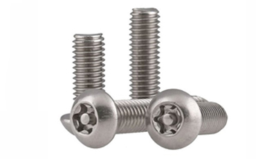 Anti Theft Bolt