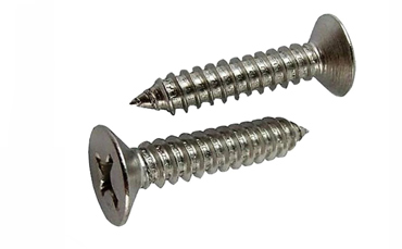 Self Tapping Screw